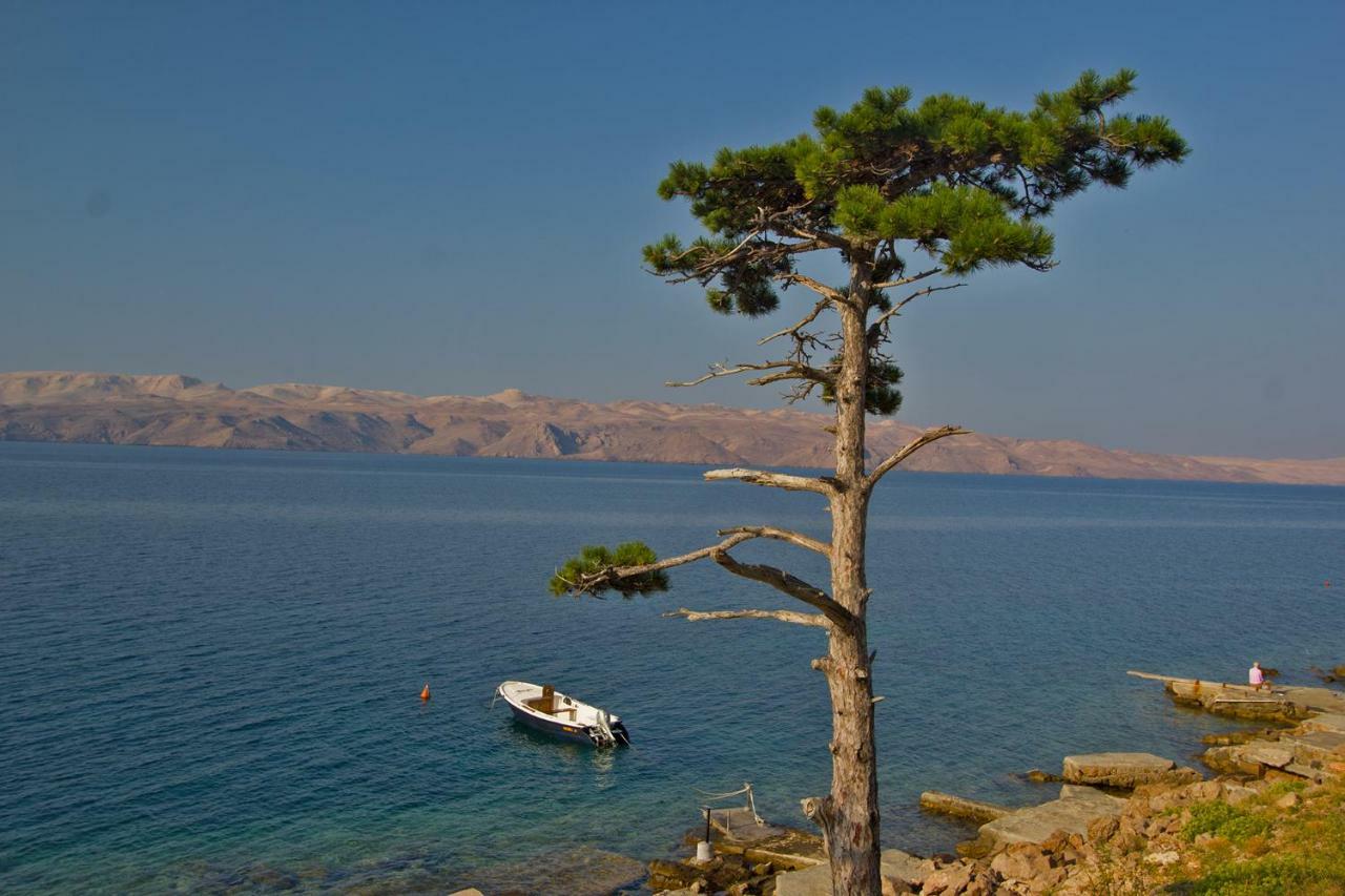 Apartment Carlitos Karlobag Dış mekan fotoğraf